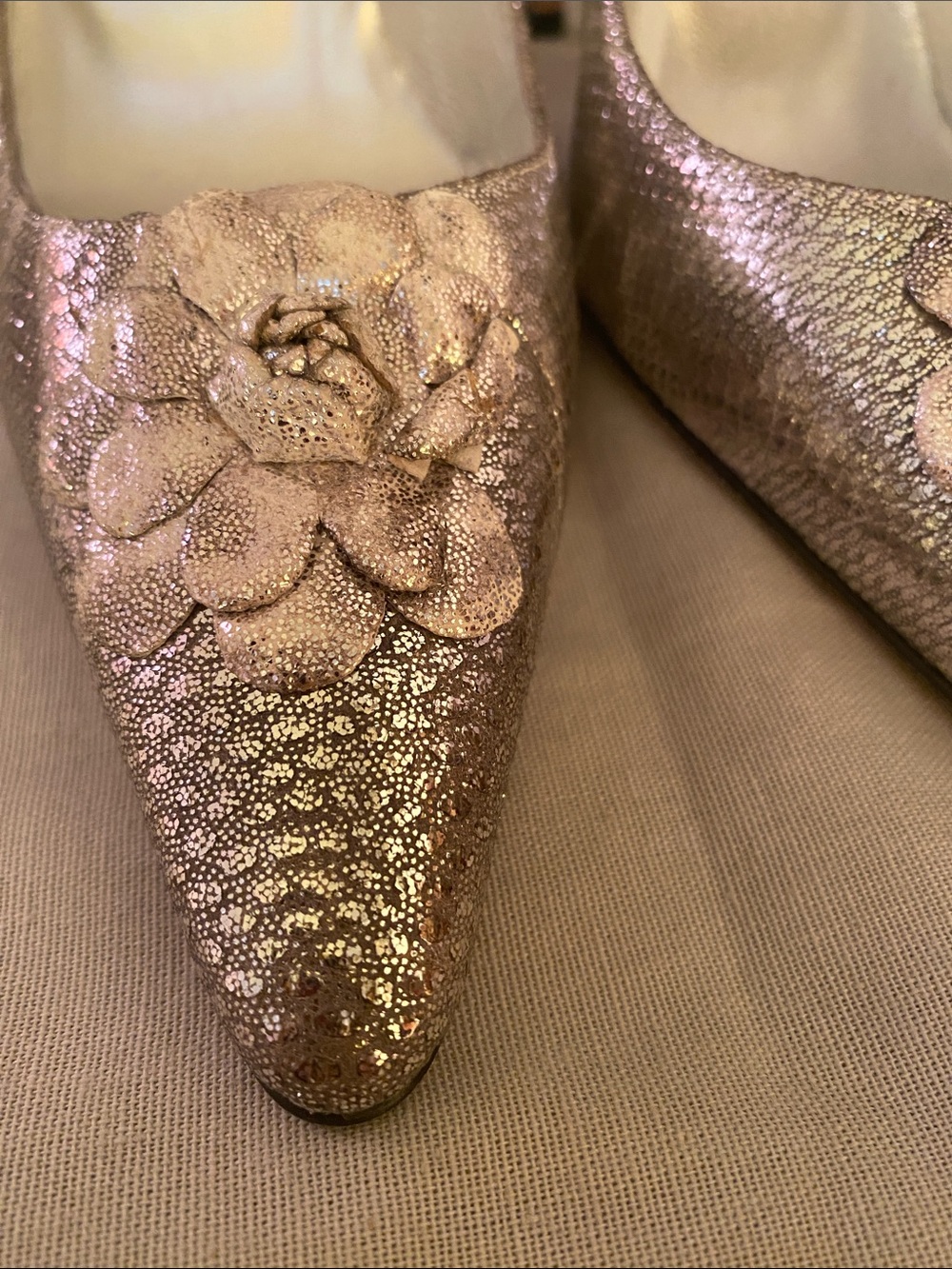 Manolo Blahnik Metallic Pointed-Toe Pumps with Floral Appliqué - Picture 2 of 7
